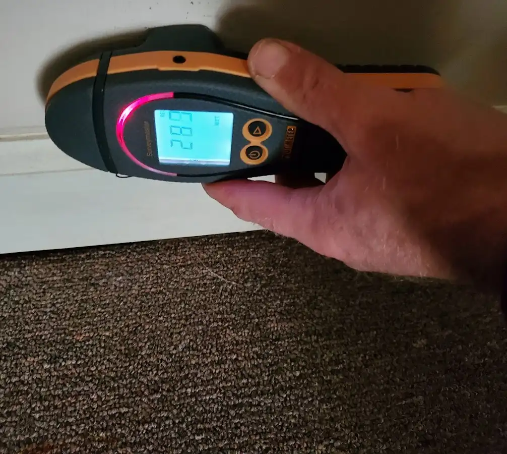 Moisture detection at baseboard during Sewage Cleanup & Sanitation in Hickory Creek